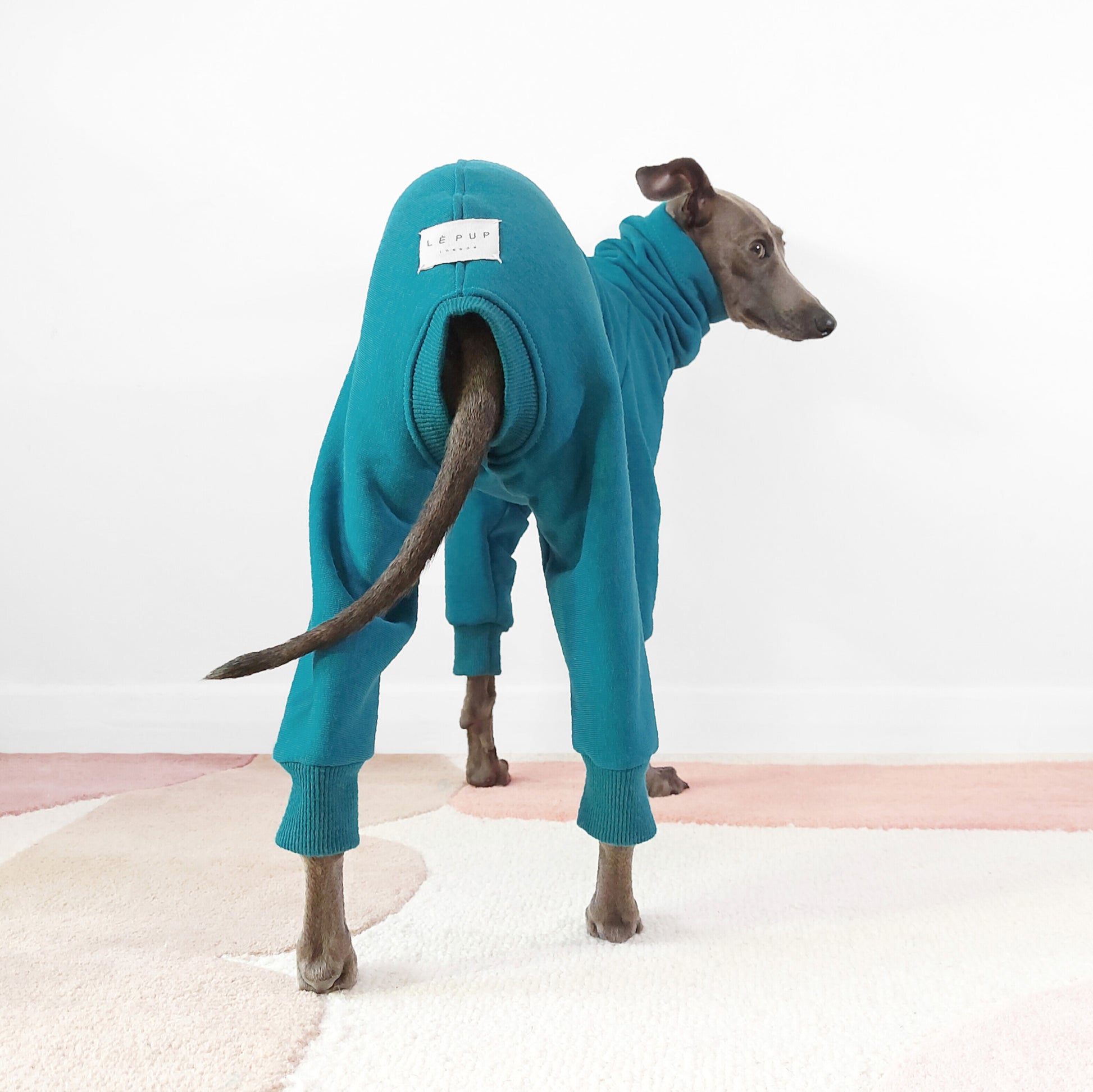Sustainable Oeko-Tex Italian Greyhound and Whippet Fleece Dog Onesie by by LE PUP.