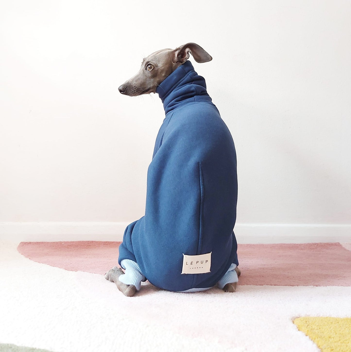 Back view of cute Italian greyhound wearing a warm and soft eco-friendly dog onesie made by LE PUP.