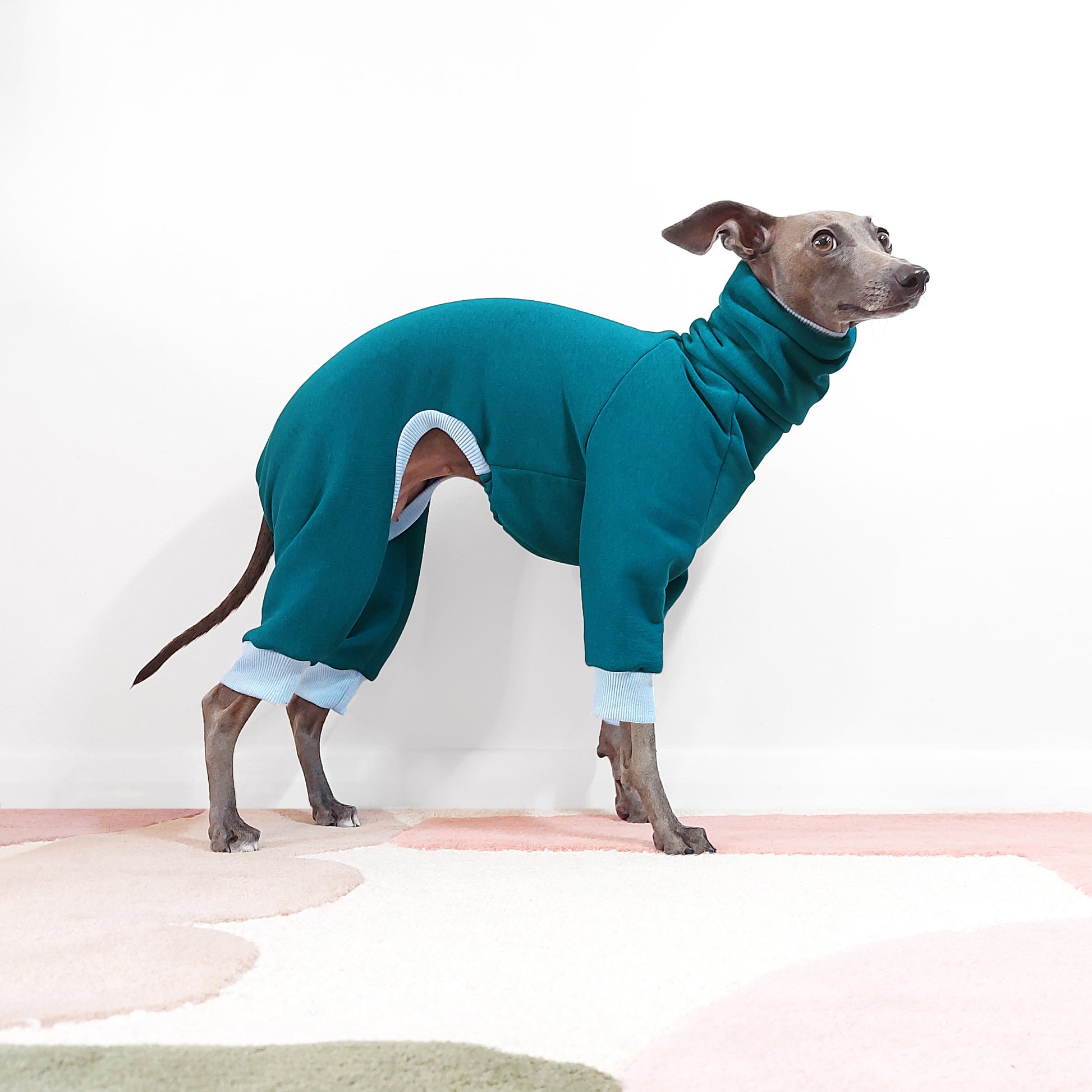 Cute sighthound ready for winter in her teal and blue dog onesie made from certified materials by LE PUP in London