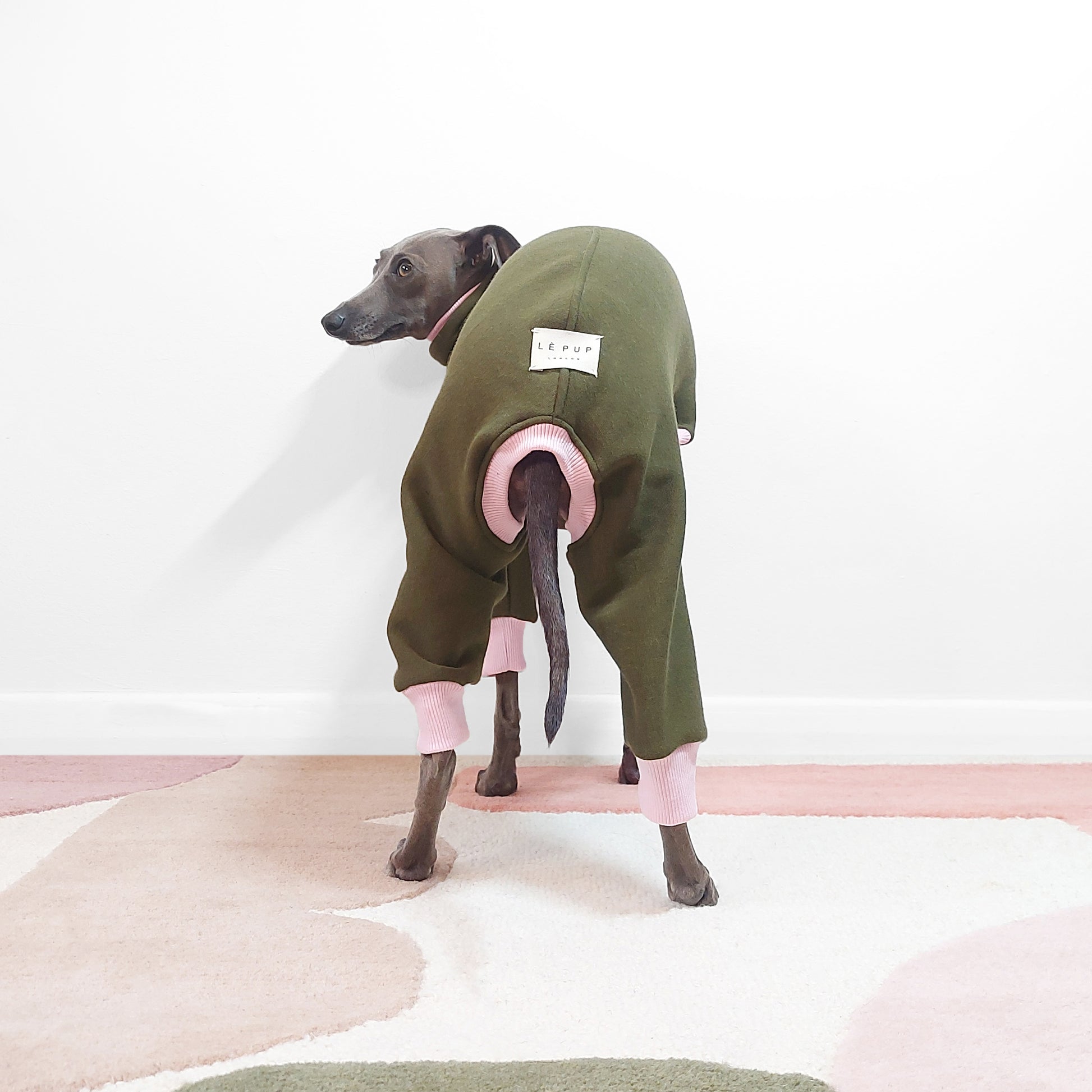 Back view of handmade Luxury Italian Greyhound Olive green Dog Fleece By LE PUP