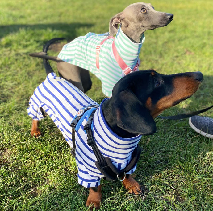 What’s so good about LÈ PUP dog jumpers?