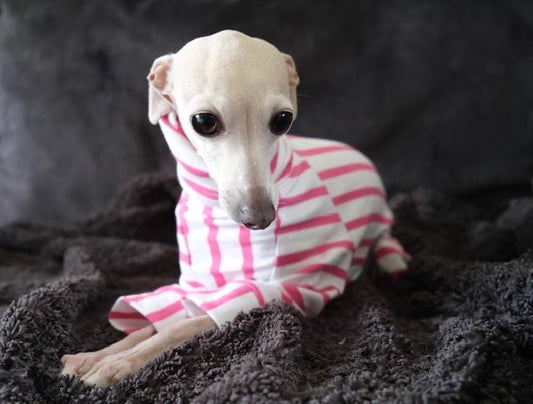 LÈ PUP pink striped organic cotton dog jumper for summer and beyond