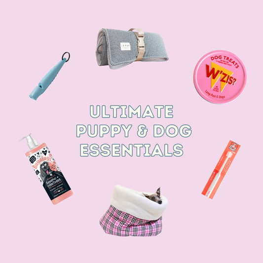 The Ultimate Puppy & Dog Essentials Guide: Safe, Natural & Must-Have Products for Your Pup
