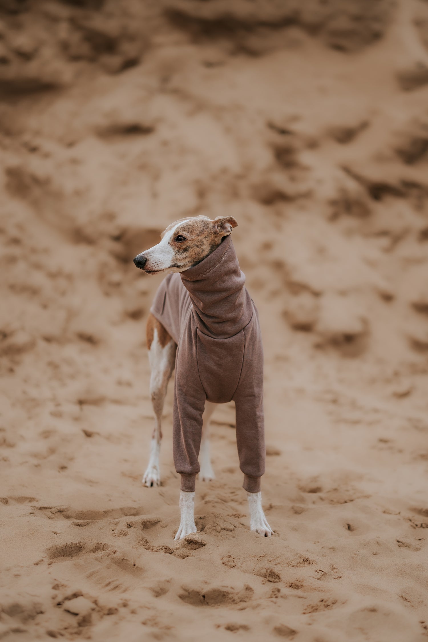 LE PUP Lilac dog jumper for italian greyhounds whippets lurchers and greyhounds