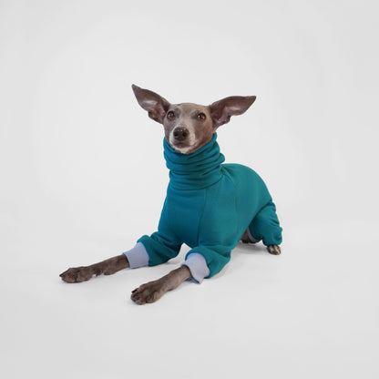 Italian Greyhound in a teal dog onesie with light blue ribbing made from OEKO-TEX certified fabrics by LE PUP.