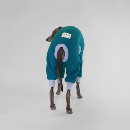 Back of Italian Greyhound in winter warm teal dog onesie with blue ribbing made from OEKO-TEX certified fabrics by LE PUP.