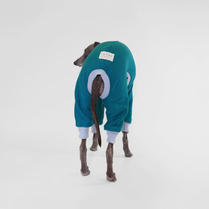 Italian Greyhound wearing a teal dog onesie with blue ribbing made from OEKO-TEX certified fabrics by LE PUP.