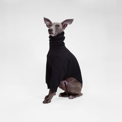 Italian Greyhound sitting wearing bespoke made black dog jumper made from OEKO-TEX certified fabrics by LE PUP.