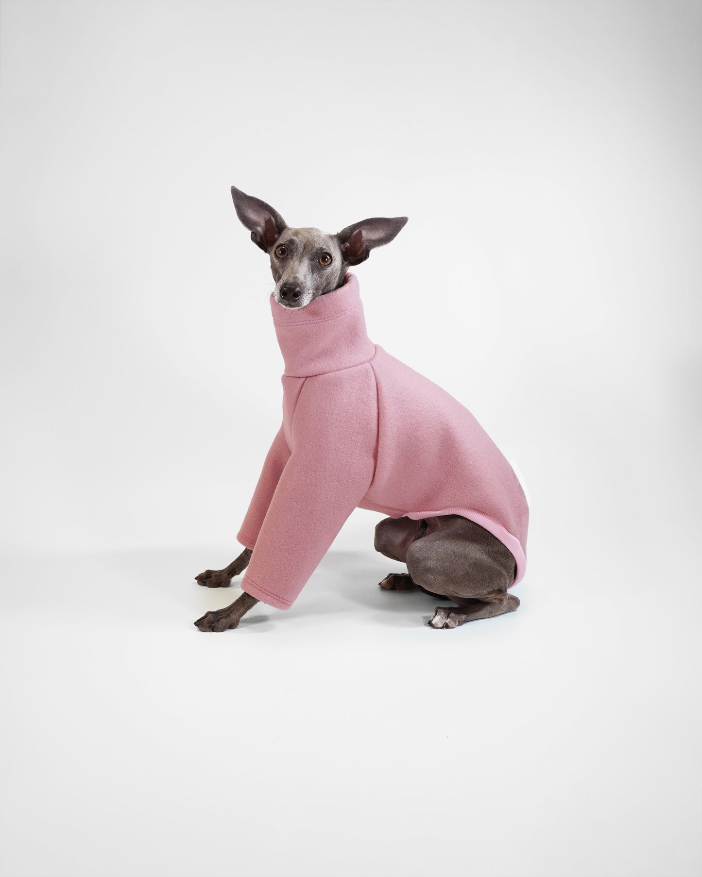 Dog wearing a pink wool-look jumper