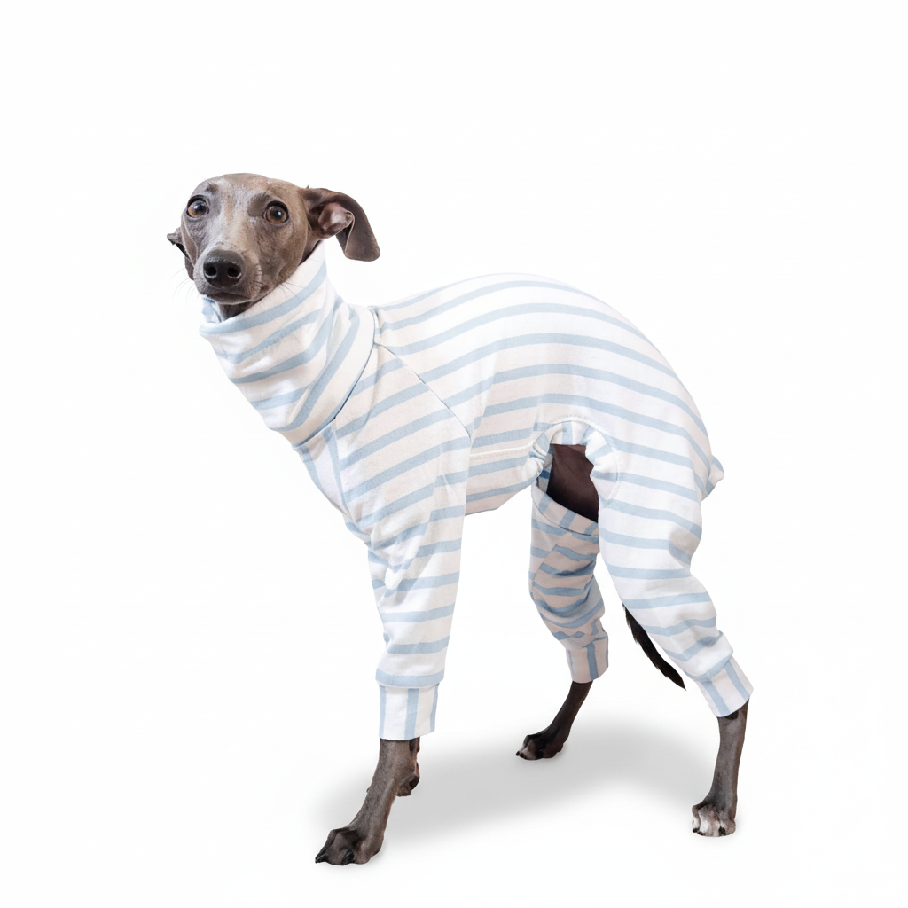 Made-to-measure in London, 100% organic light blue cotton top for dogs made by LÈ PUP