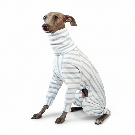 Made-to-measure in London, 100% organic light blue cotton top for dogs made by LÈ PUP