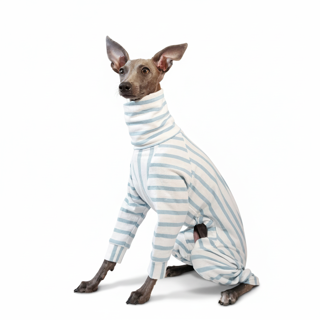 Made-to-measure in London, 100% organic light blue cotton top for dogs made by LÈ PUP
