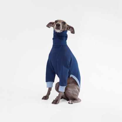Italian Greyhound wearing navy blue dog jumper made from sustainable Oeko-Tex sweatshirt by LE PUP.