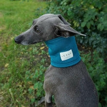Load image into Gallery viewer, LÈ SNOOD - Dog Snood (Turquoise)
