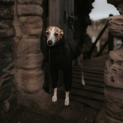 Whippet girl wearing waterproof raincoat made bespoke by LE PUP. Standing Front Shot.