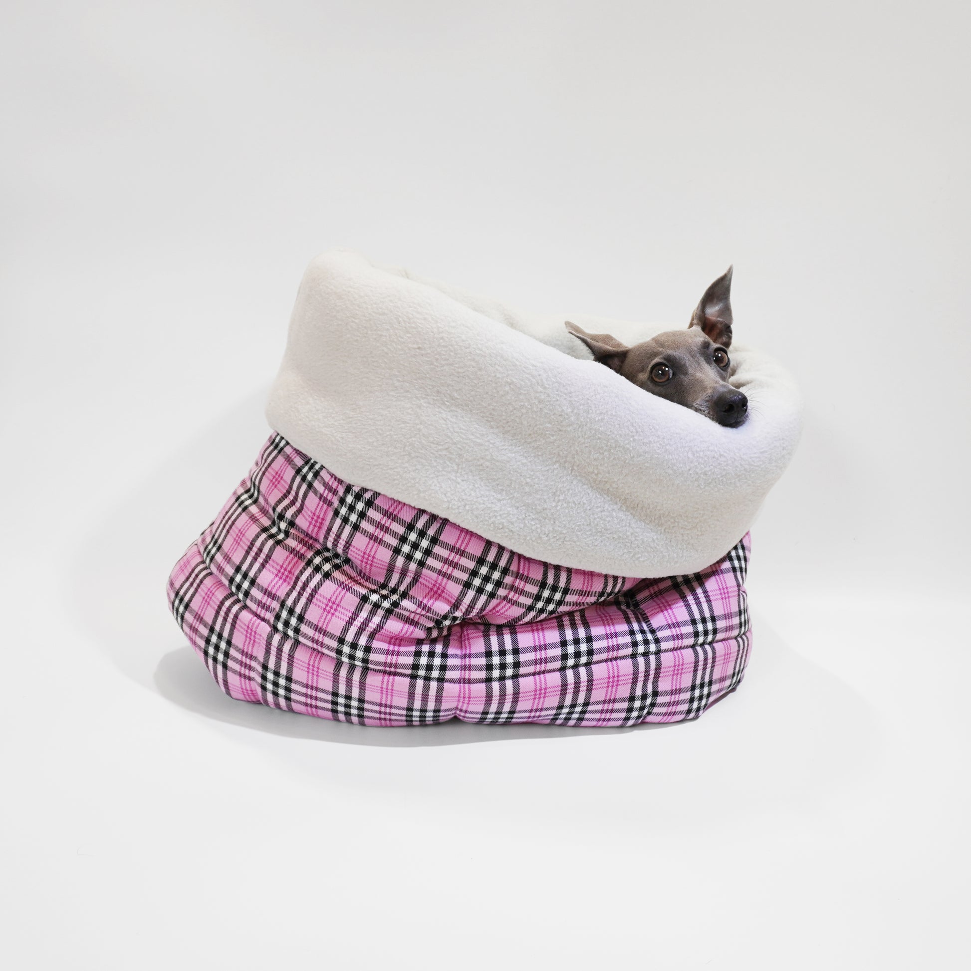 Italian greyhound peeping from thick pink tartan dog snuggle pet bed by LE PUP.