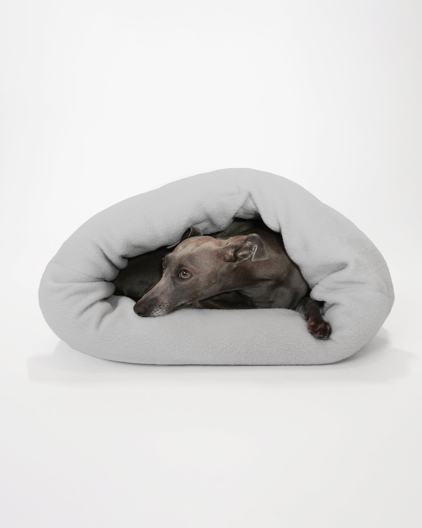 Dog sleeping in pet cave looking snuggly and cosy handmade by LE PUP.