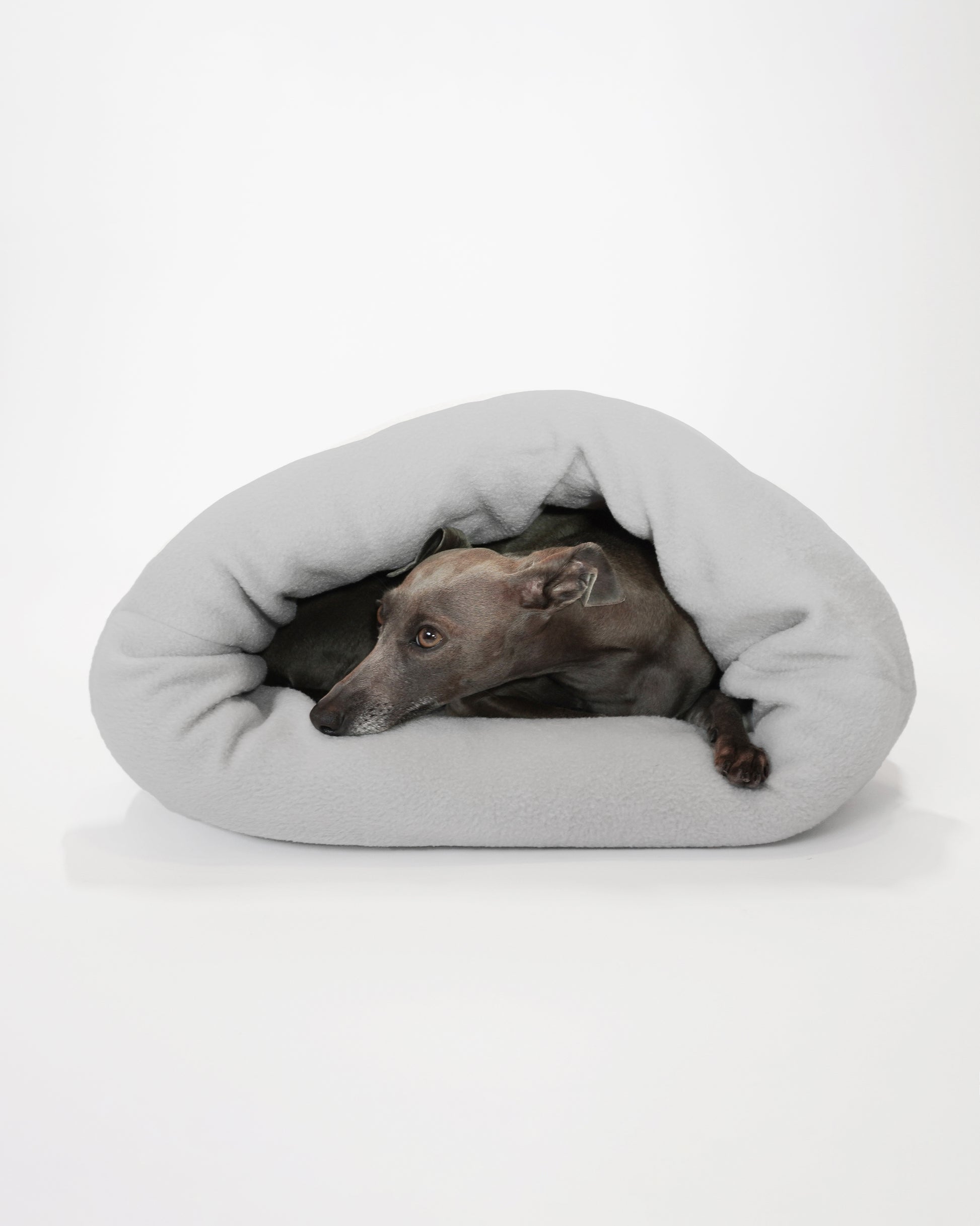 Dog sleeping in pet cave looking snuggly and cosy handmade by LE PUP.