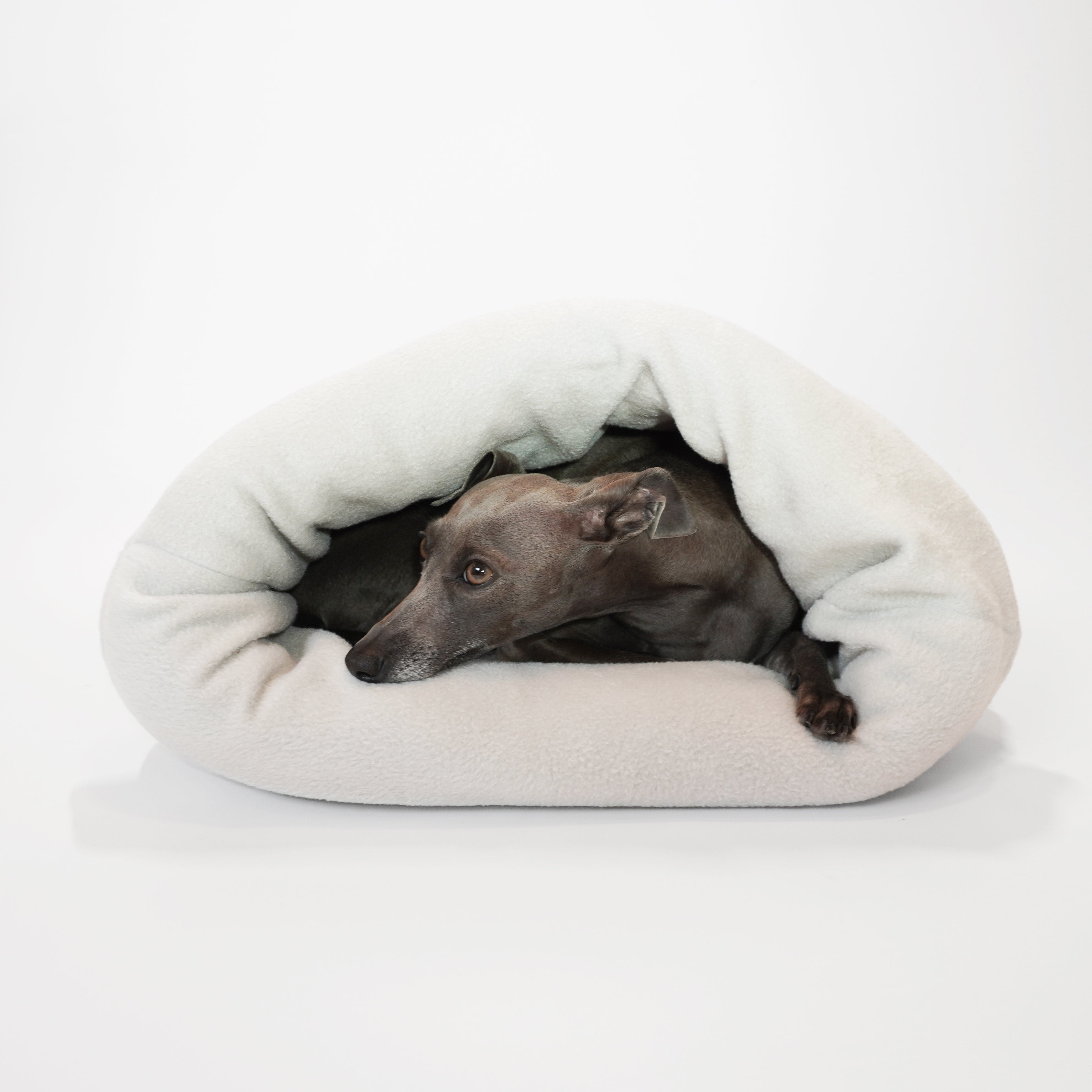 Best dog beds for greyhounds best sale