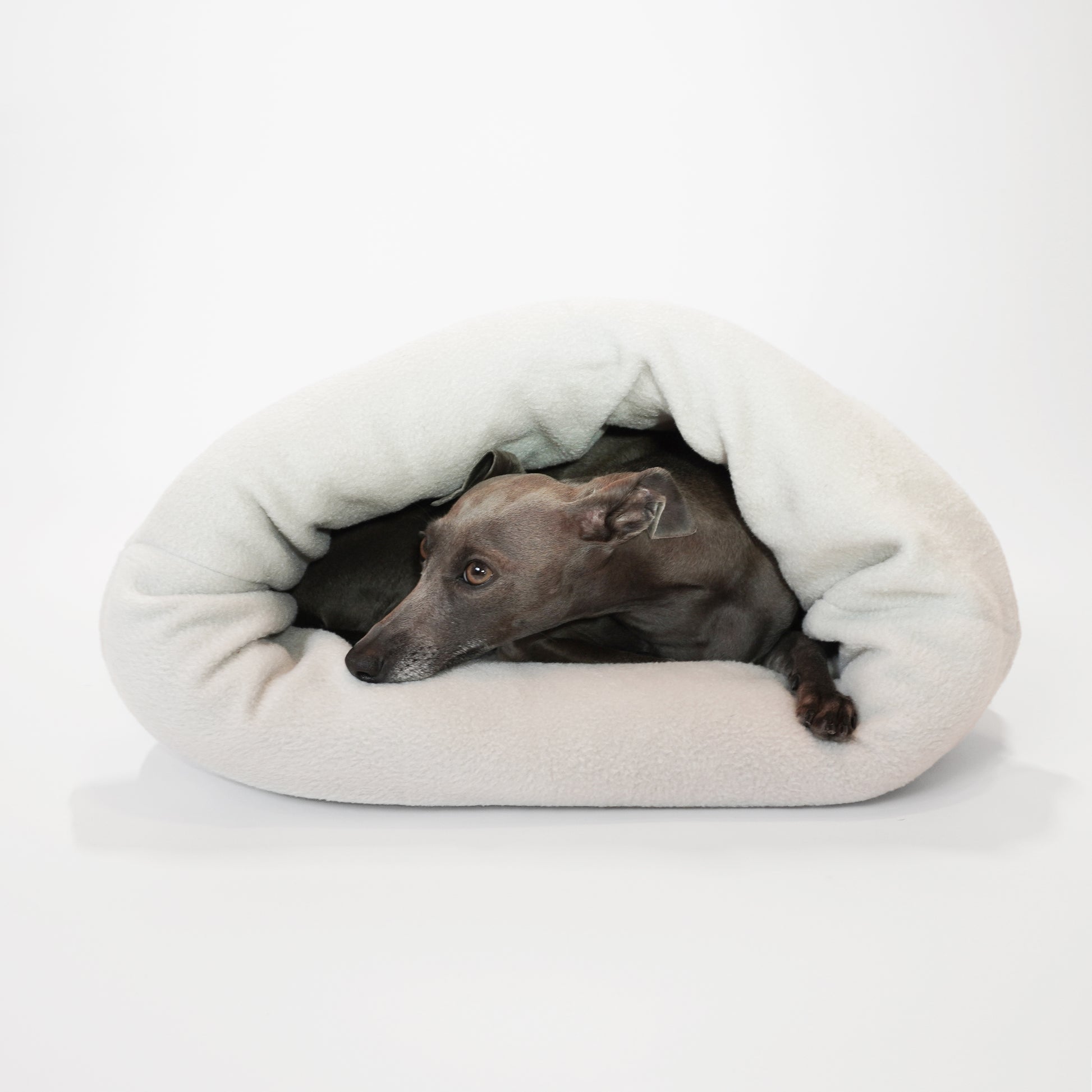 Dog sleeping in pet cave looking snuggly and cosy handmade by LE PUP.