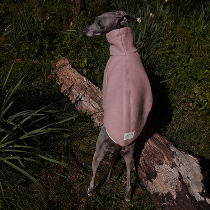 back shot of a dog wearing pink wool-look jumper standing on a log