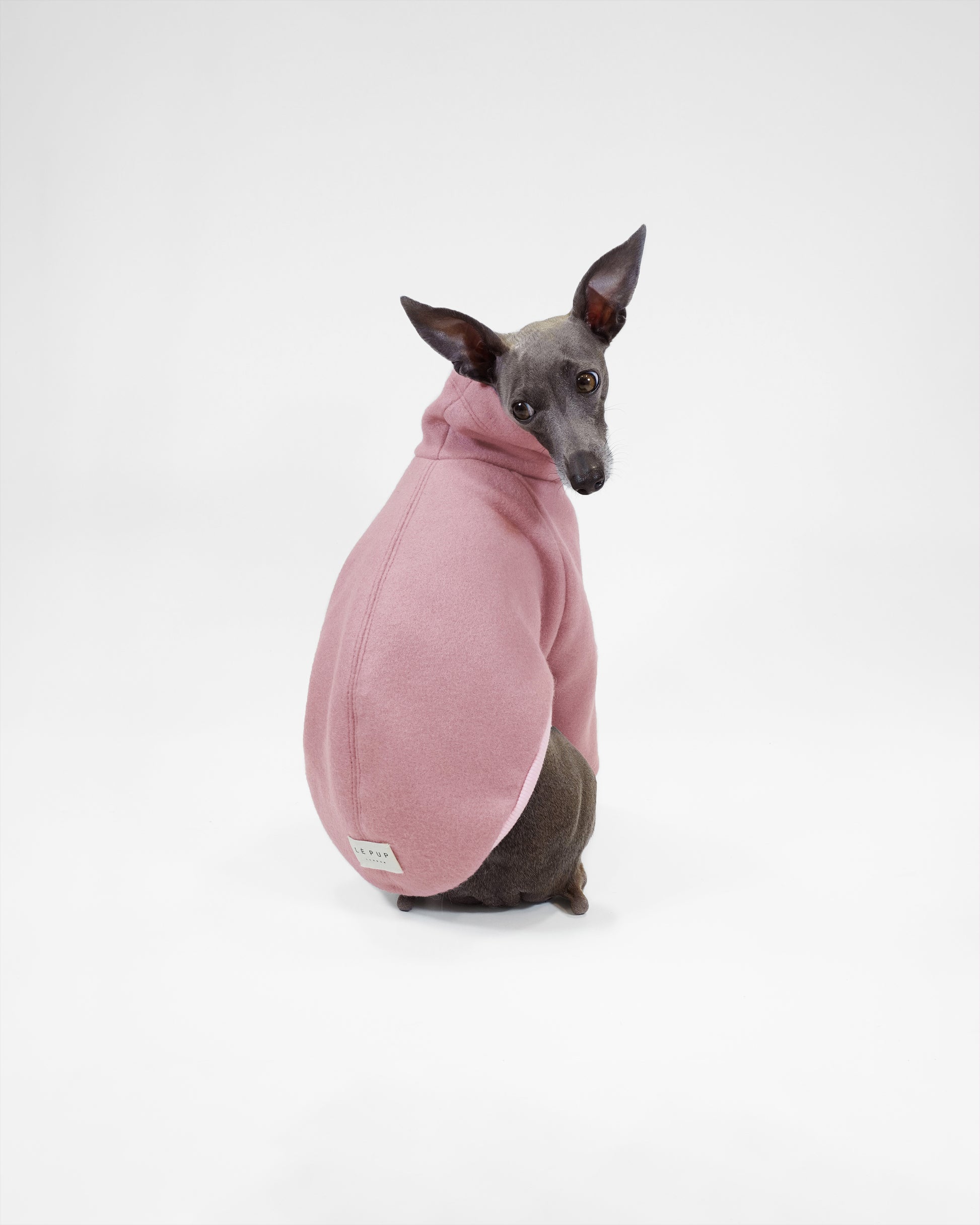 Dog wearing a pink wool-look coat on a white background