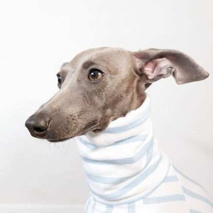 Made-to-measure in London, 100% organic light blue cotton top for dogs made by LÈ PUP