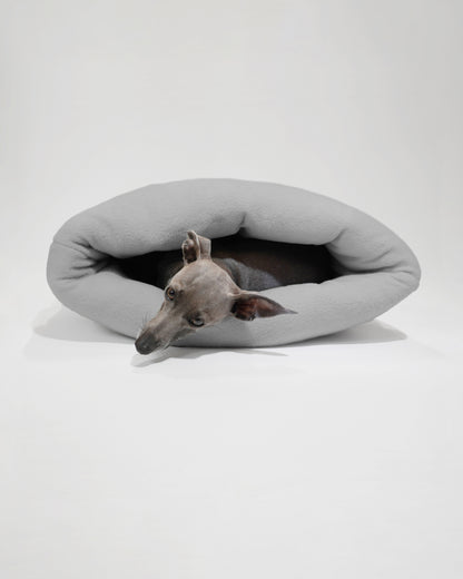 Italian Greyhound inside snuggle sack by LE PUP