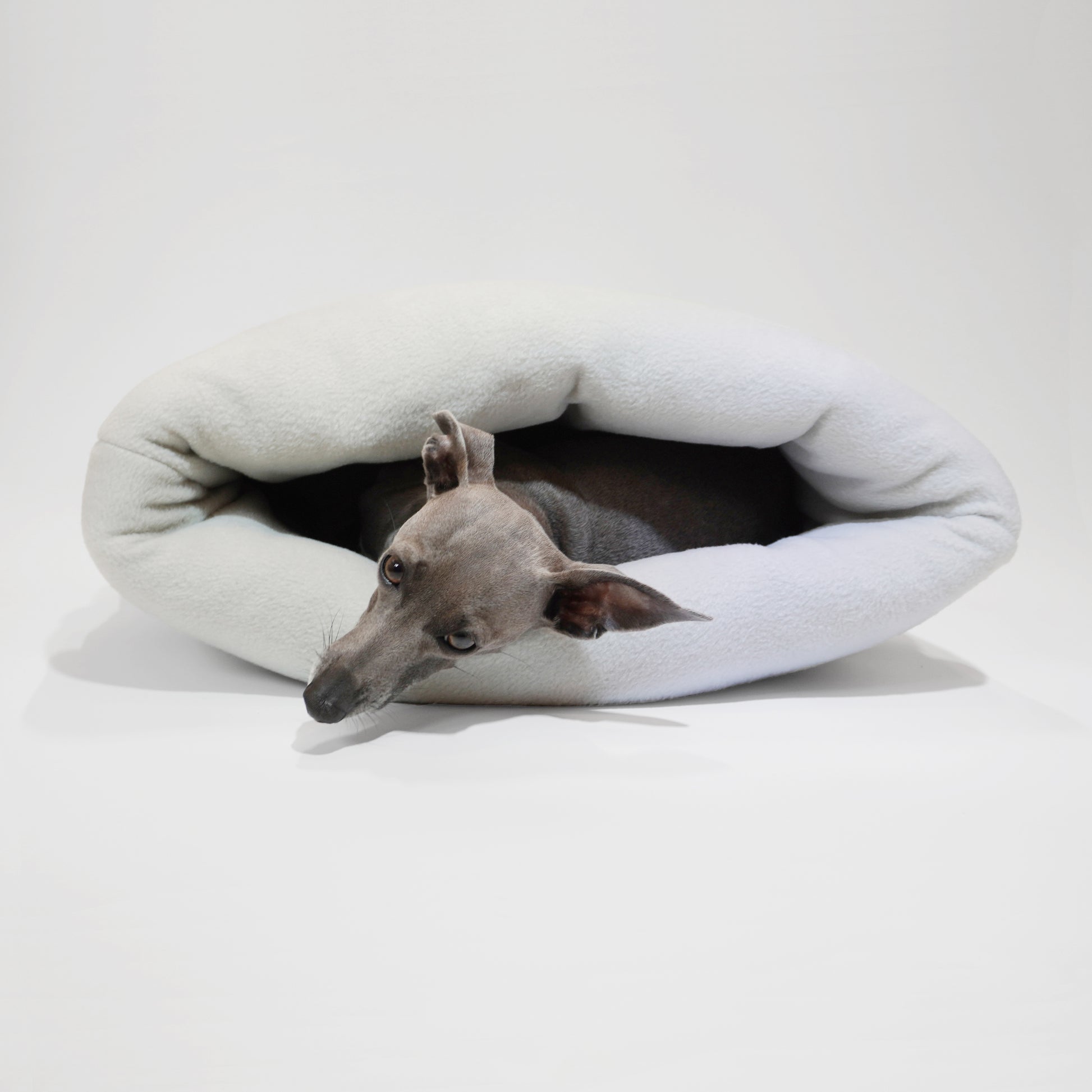 Nest bed for dogs with cute dog half in half out by LE PUP.