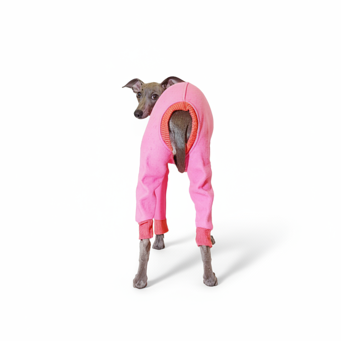 RUBY COCOA - Dog Jumpsuit