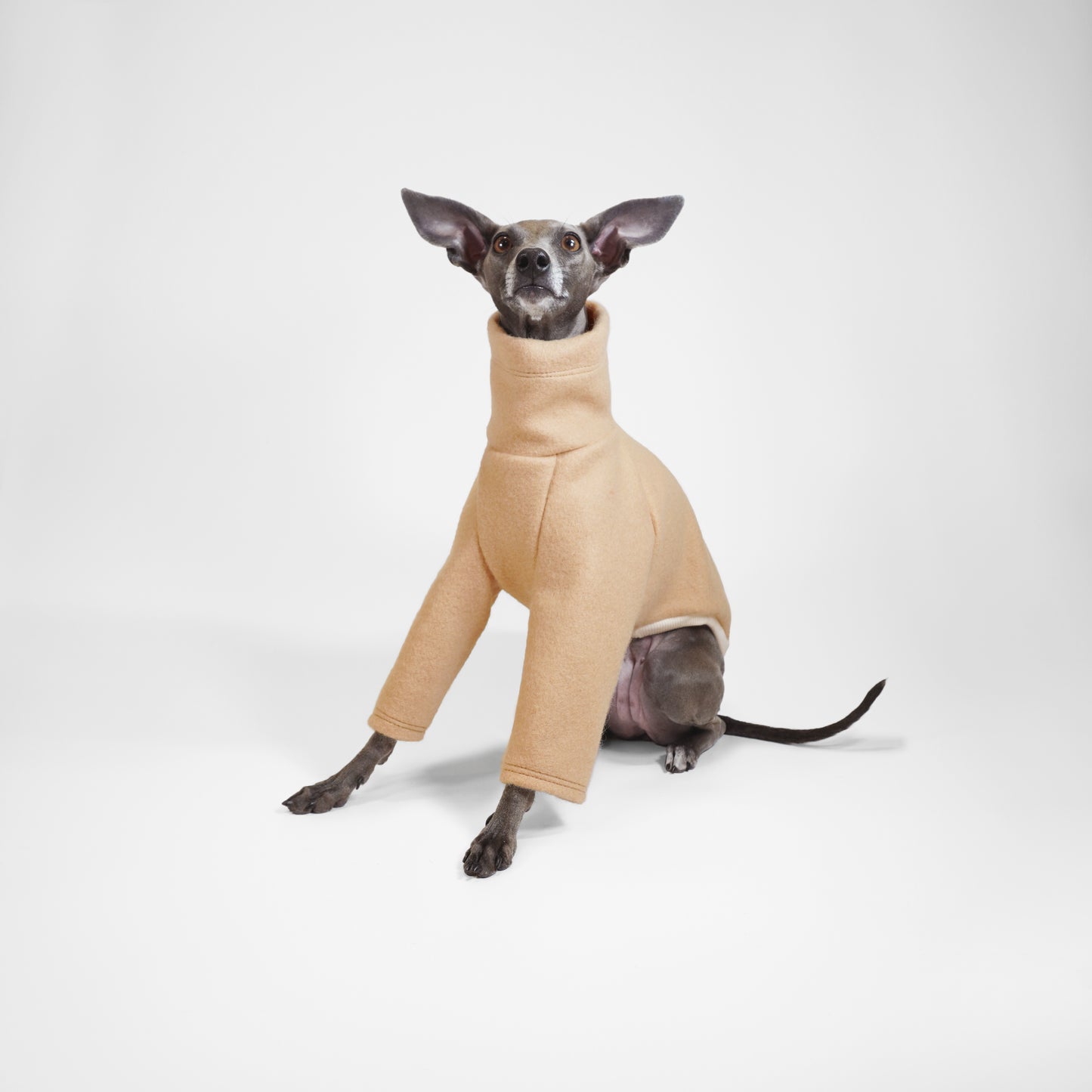 CRÈME BRÛLÉE WOOL-LOOK DOG JUMPER
