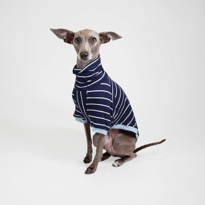 Italian greyhound sitting and wearing navy blue stripe cotton dog t-shirt by LE PUP.