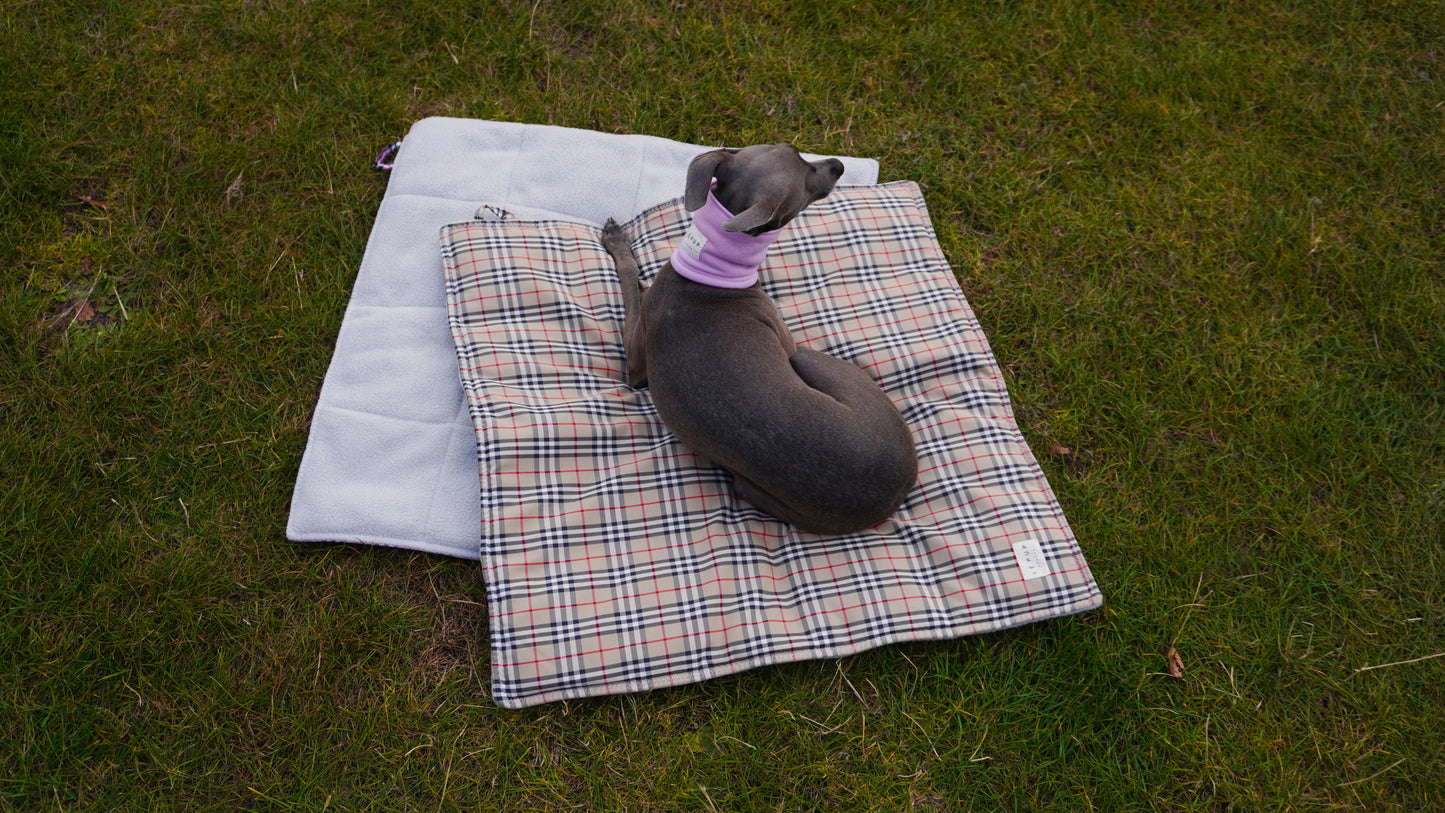 Italian greyhound sitting in the park on tartan woven quilted dog travel mat by LE PUP.