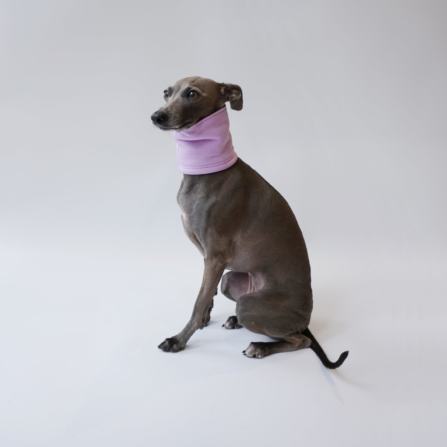 Sighthound warm neck scarf bespoke dog accessories by LE PIP.