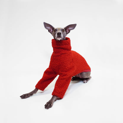 CNY Inspired  boucle red dog jumper modelled by an Italian Greyhound