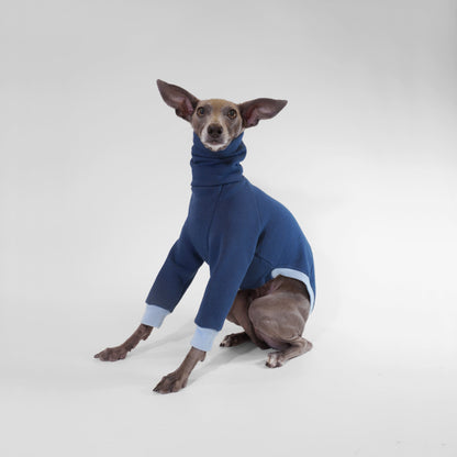 Iggy wearing navy blue Oeko-Tek certified sweatshirt fabrics dog jumper