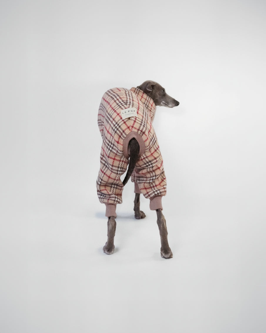 back of Italian Greyhound wearing a classic tartan onesie on a white background
