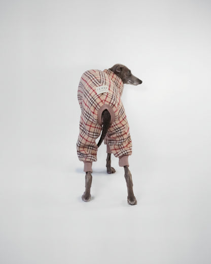 back of Italian Greyhound wearing a classic tartan onesie on a white background