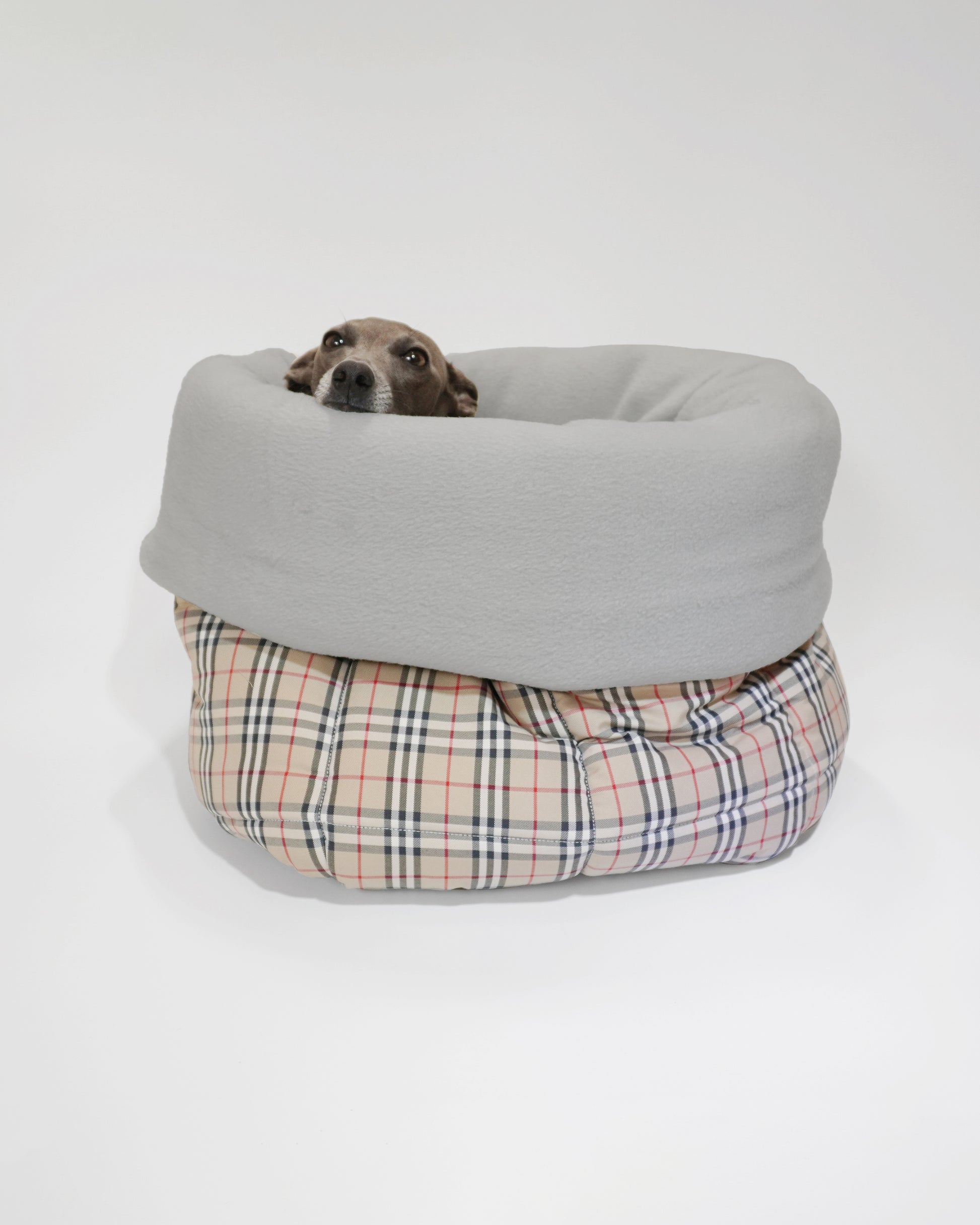Cute Italian greyhound peeping from portable dog snuggle sack in tartan fabric, perfect as a dog car bed by LE PUP.
