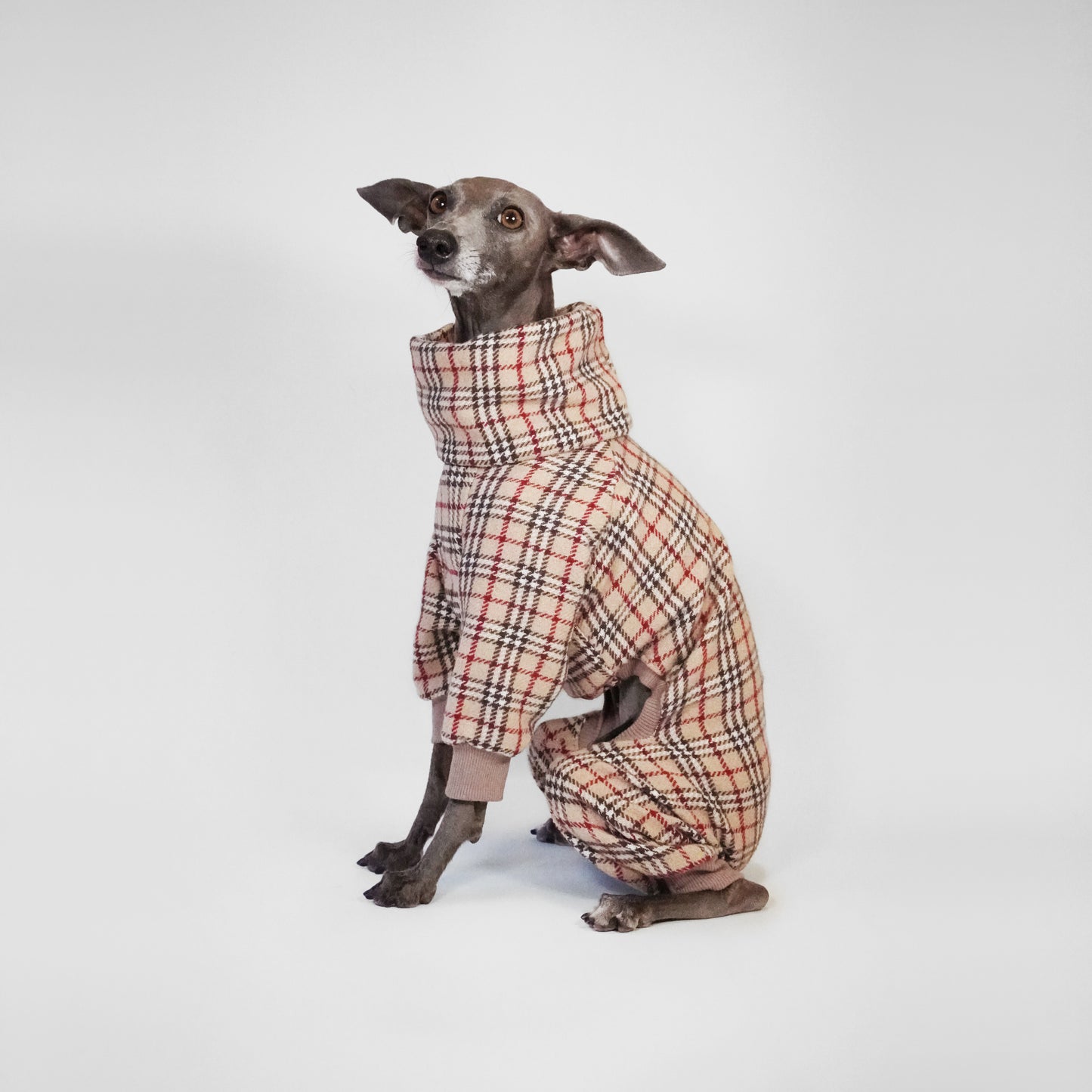 Dog wearing luxury classic tartan bespoke onesie