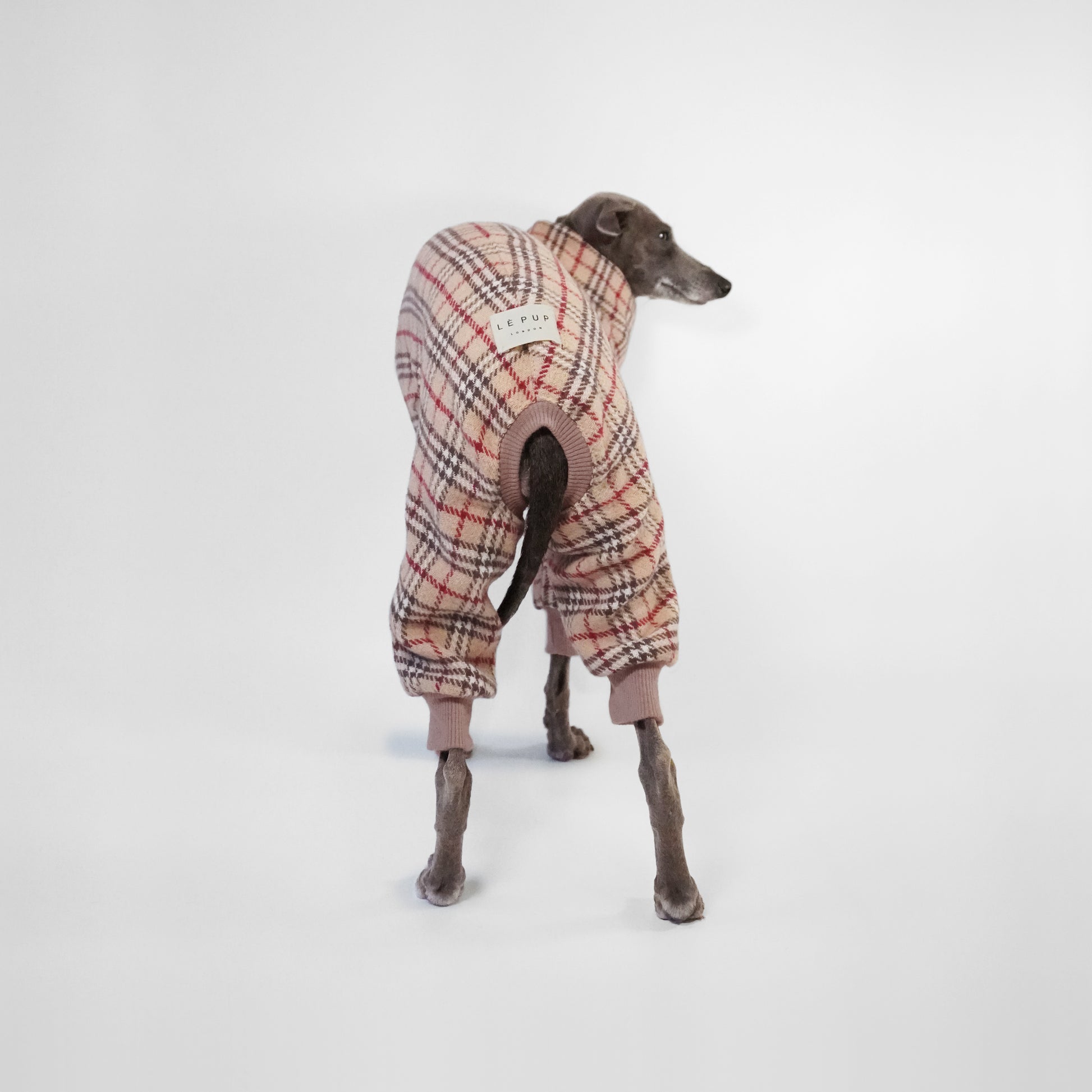 Back shot of dog wearing made to measure tartan dog onesie
