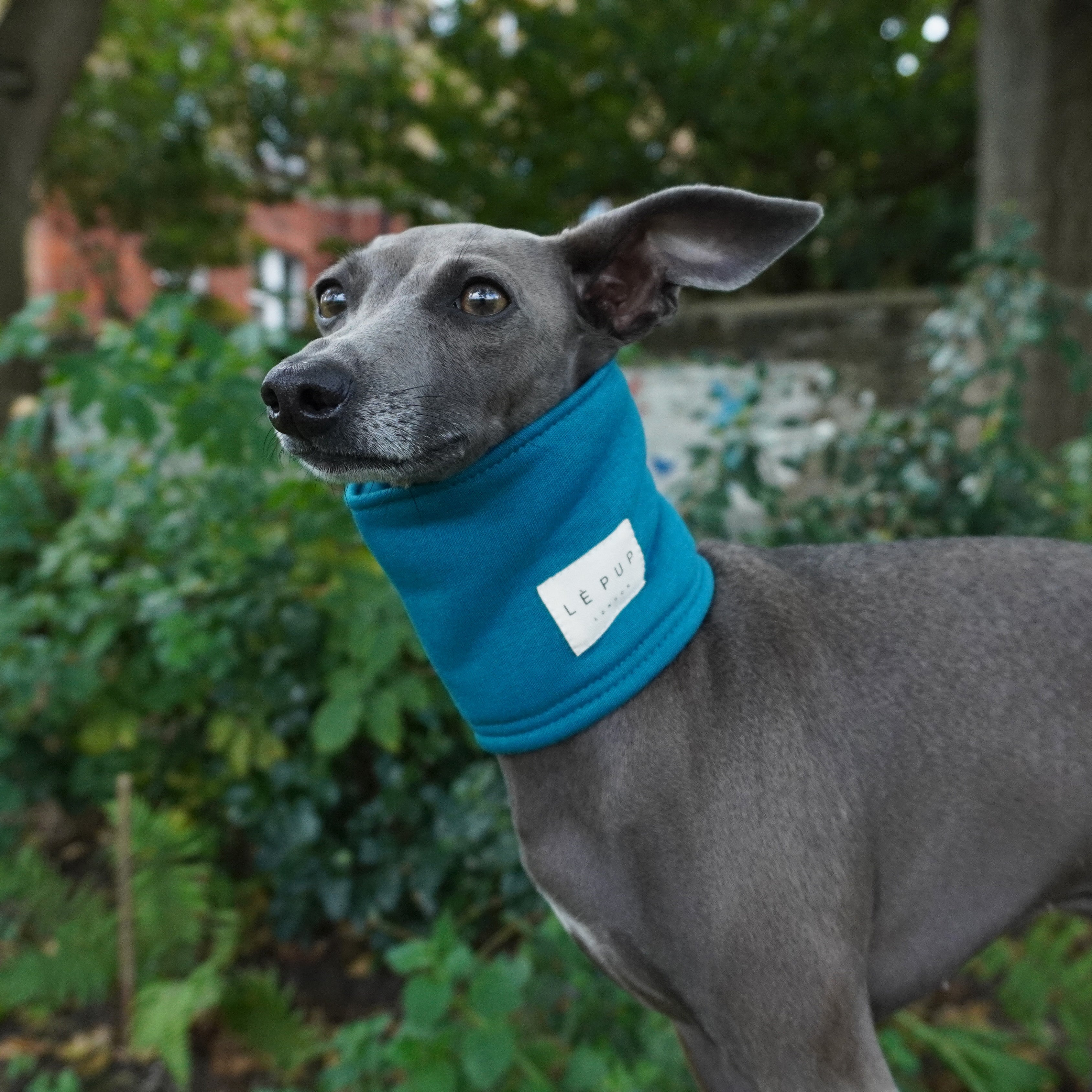 LE SNOOD Dog Snood Deep Teal