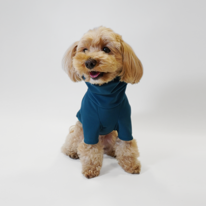 Front view of Maltipoo wearing dog raincoat in teal and softshell by LE PUP.