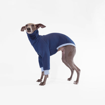 Italian Greyhound wearing navy blue dog jumper made from sustainable Oeko-Tex sweatshirt by LE PUP.