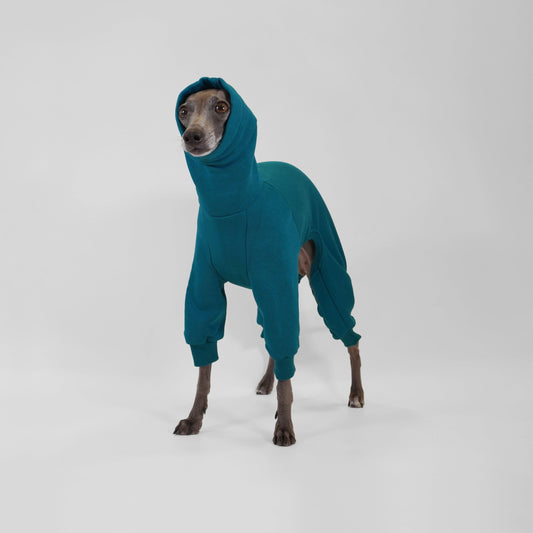 Italian Greyhound wearing bespoke deep teal dog onesie made from OEKO-TEX certified fabrics by LE PUP.