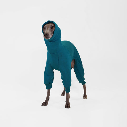 Italian Greyhound wearing bespoke deep teal dog onesie made from OEKO-TEX certified fabrics by LE PUP.