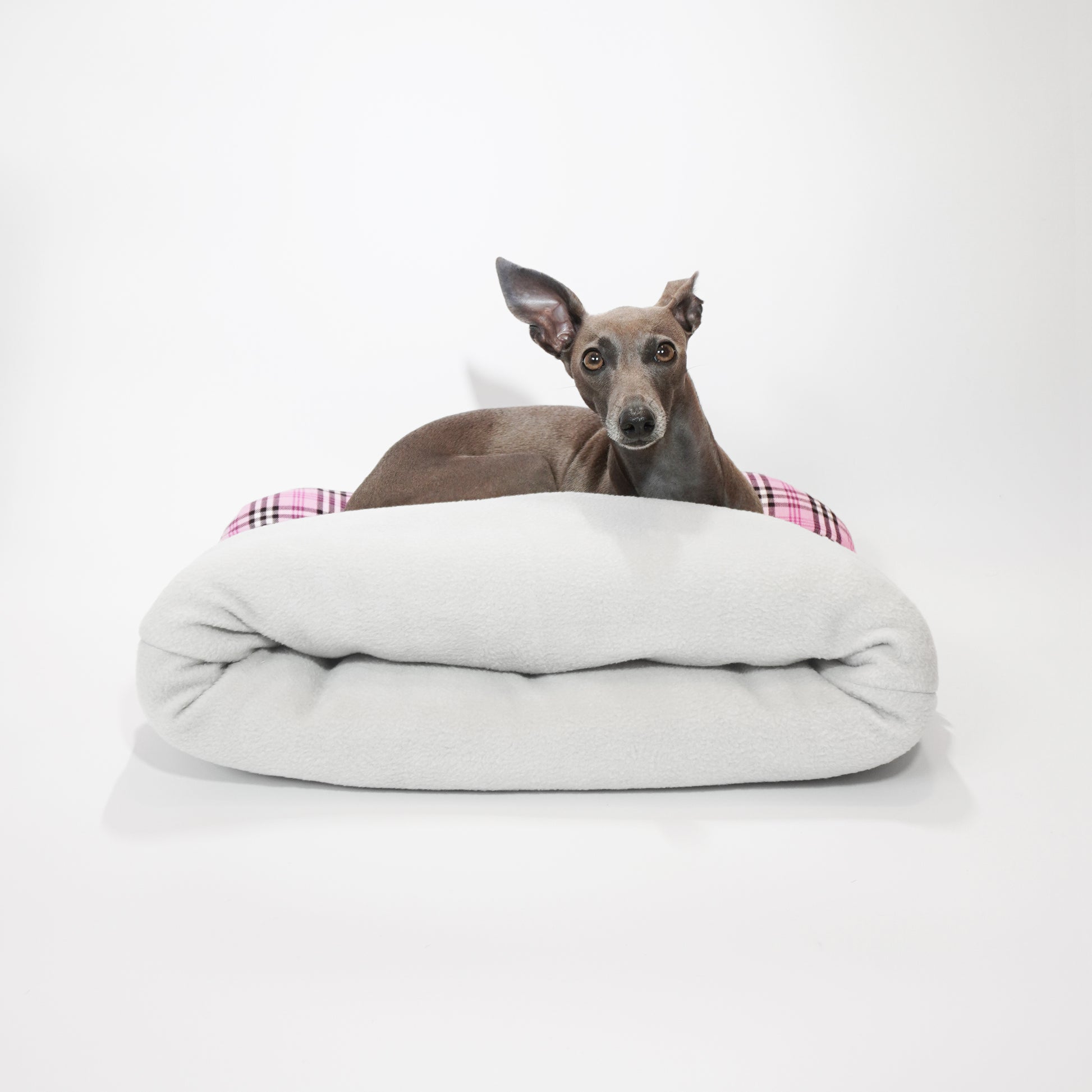 Italian greyhound sitting on top of  cushioned pet snuggle sack by LE PUP.