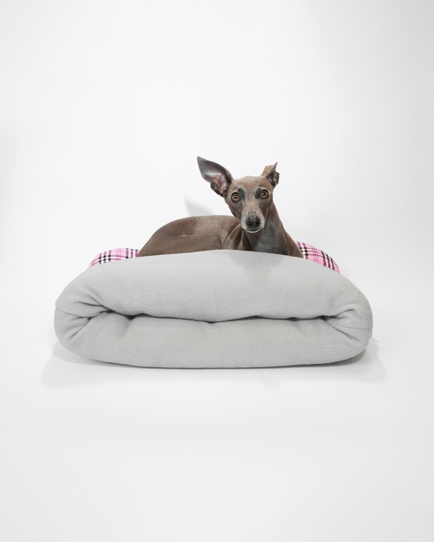 Italian greyhound sitting on top of  cushioned pet snuggle sack by LE PUP.