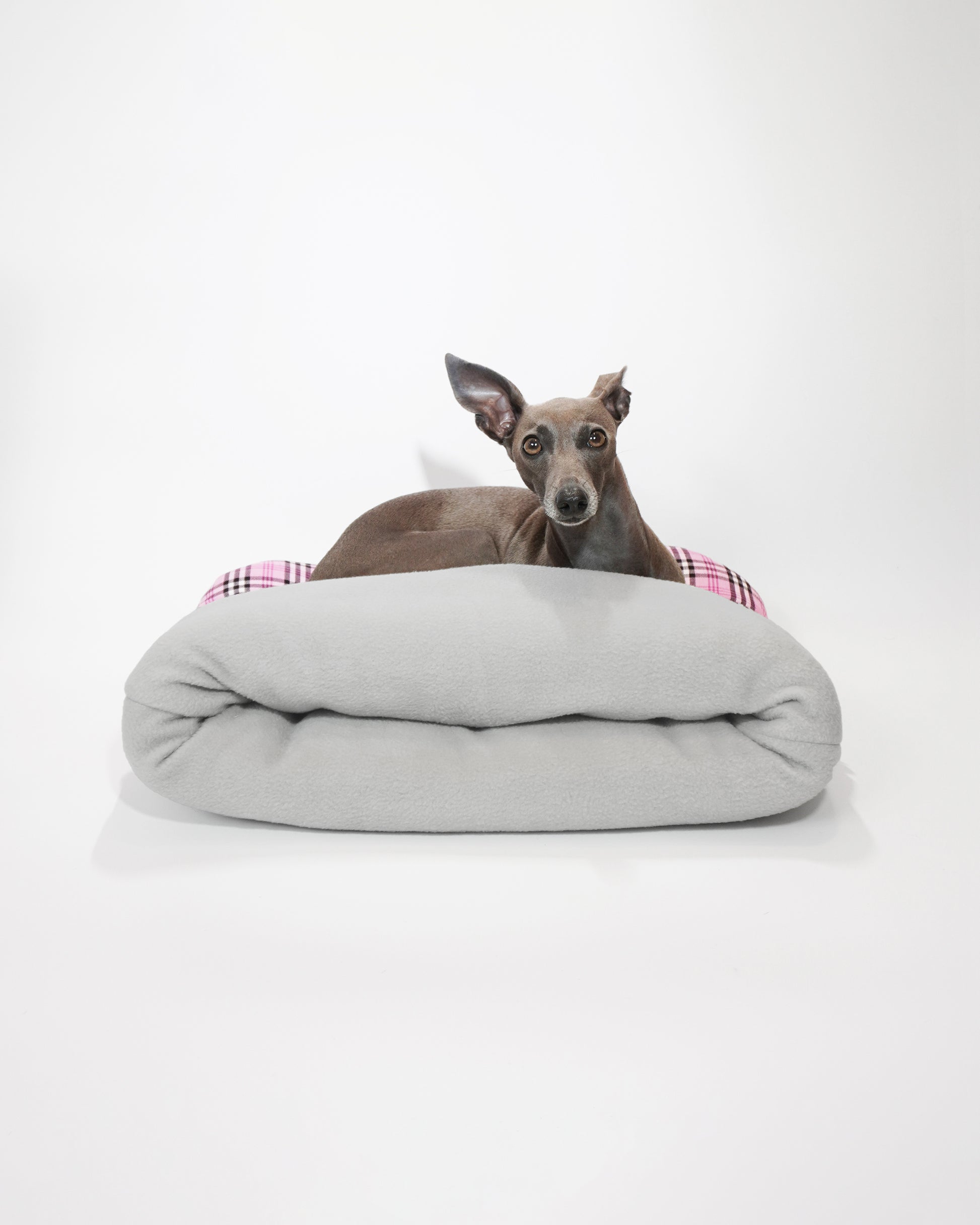 Italian greyhound sitting on top of  cushioned pet snuggle sack by LE PUP.