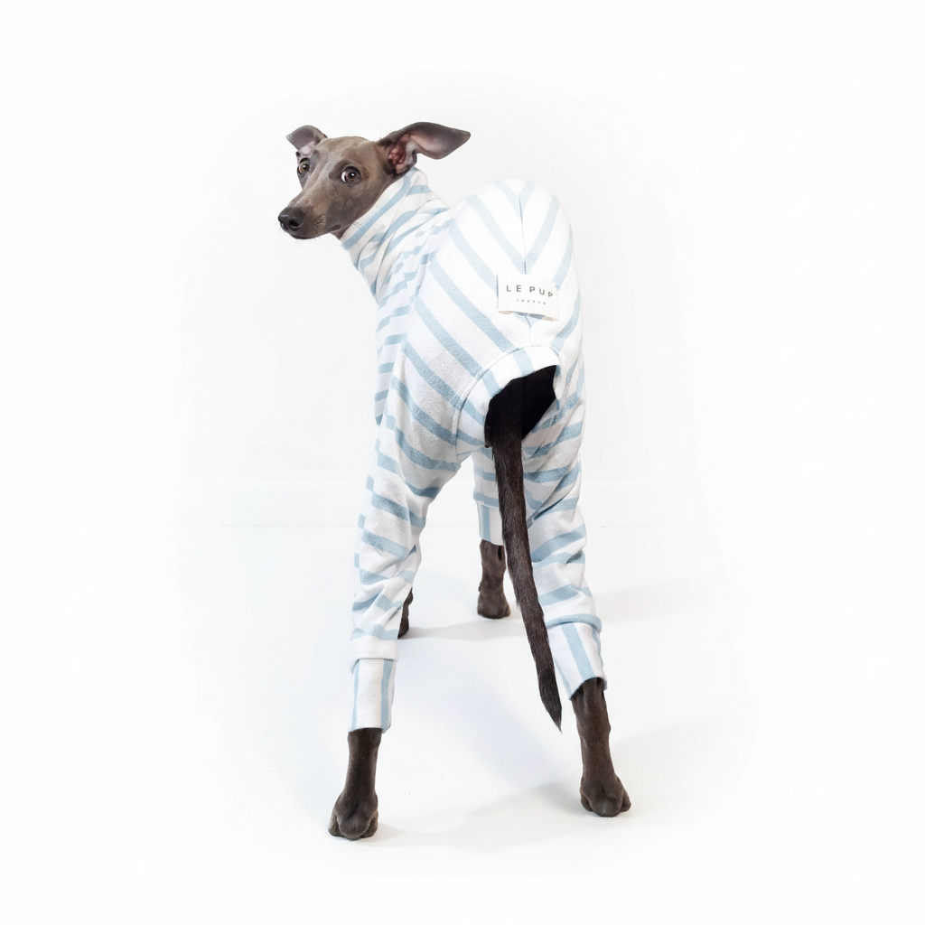 SAGO - Organic Cotton Dog Onesie